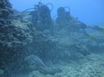 Hawaii Scuba divng 63