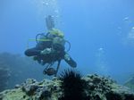 Hawaii Scuba divng 67