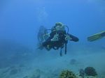 Hawaii Scuba divng 68