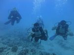 Hawaii Scuba divng 69