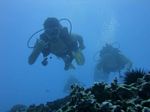 Hawaii Scuba divng 71