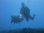 Hawaii Scuba divng 72