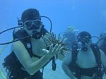 Hawaii Scuba divng 73