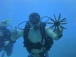 Hawaii Scuba divng 74