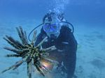 Hawaii Scuba divng 76