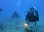 Hawaii Scuba divng 77