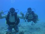 Hawaii Scuba divng 78