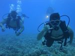 Hawaii Scuba divng 80