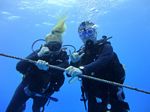 Hawaii Scuba divng 86