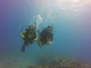 Hawaii Scuba divng 11