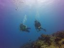 Hawaii Scuba divng 12