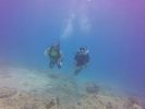 Hawaii Scuba divng 16