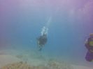 Hawaii Scuba divng 18