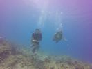 Hawaii Scuba divng 19