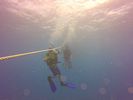 Hawaii Scuba divng 01