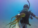 Hawaii Scuba divng 21
