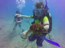 Hawaii Scuba divng 23