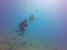 Hawaii Scuba divng 24