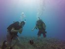 Hawaii Scuba divng 25