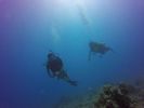Hawaii Scuba divng 26
