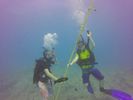 Hawaii Scuba divng 27