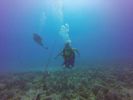 Hawaii Scuba divng 30