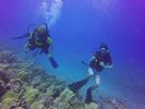 Hawaii Scuba divng 33