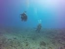 Hawaii Scuba divng 34