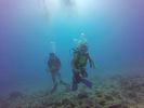 Hawaii Scuba divng 35