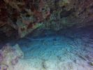 Hawaii Scuba divng 36