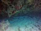 Hawaii Scuba divng 37