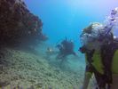 Hawaii Scuba divng 38