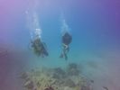 Hawaii Scuba divng 47