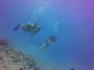 Hawaii Scuba divng 48