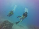 Hawaii Scuba divng 49
