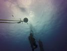 Hawaii Scuba divng 04