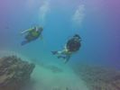 Hawaii Scuba divng 51