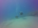 Hawaii Scuba divng 51