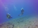 Hawaii Scuba divng 53