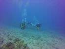 Hawaii Scuba divng 54