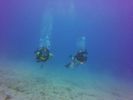 Hawaii Scuba divng 56