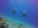 Hawaii Scuba divng 56