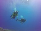 Hawaii Scuba divng 59