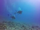 Hawaii Scuba divng 60