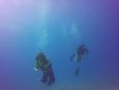 Hawaii Scuba divng 61