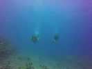Hawaii Scuba divng 62