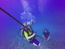 Hawaii Scuba divng 64