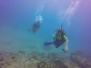 Hawaii Scuba divng 07