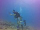 Hawaii Scuba divng 09