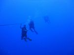 Hawaii Scuba divng 10